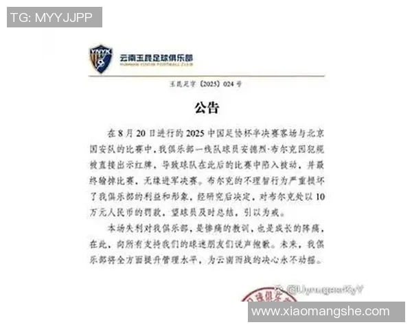 官方公告：三分王被罚+停赛！