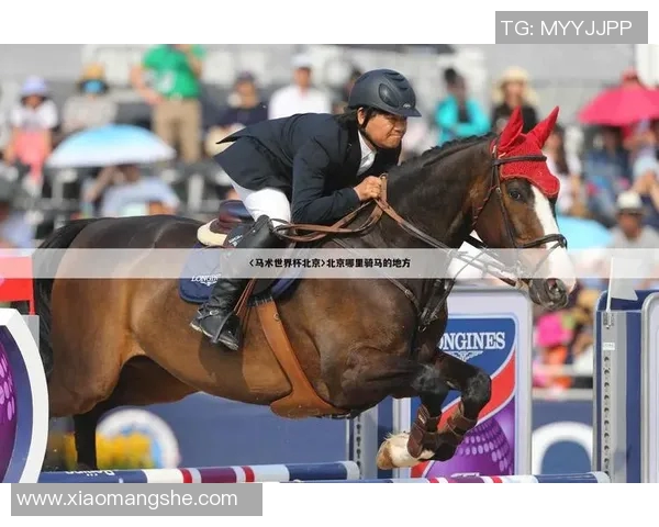 奥运会项目裁判主观评分公正性与舆情影响机制分析模型研究