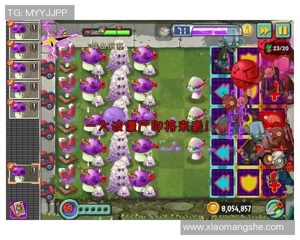 灰熊队五大经典高光时刻回顾 满满回忆杀带你重温历史瞬间