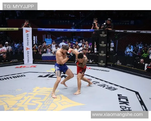 MMA格斗之夜震撼KO瞬间回顾精彩集锦瞬间燃爆全场